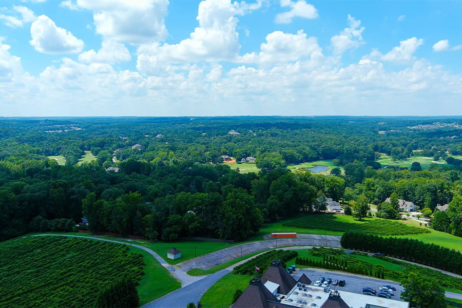 Braselton, GA - Aerial View of Lush Trees in Braselton Georgia